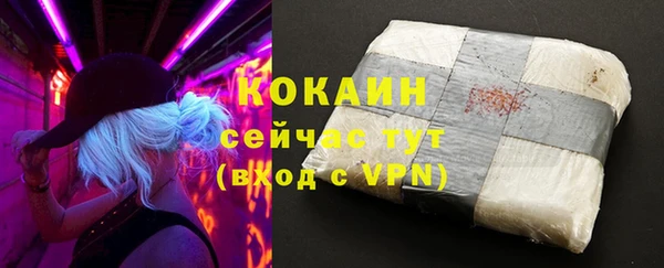 дживик Абинск