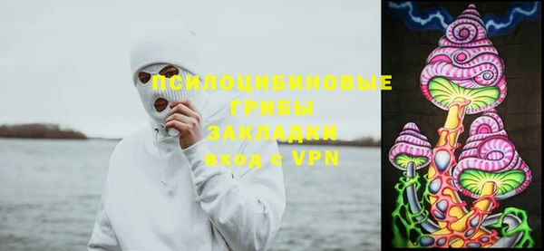 мяу мяу мука Абдулино
