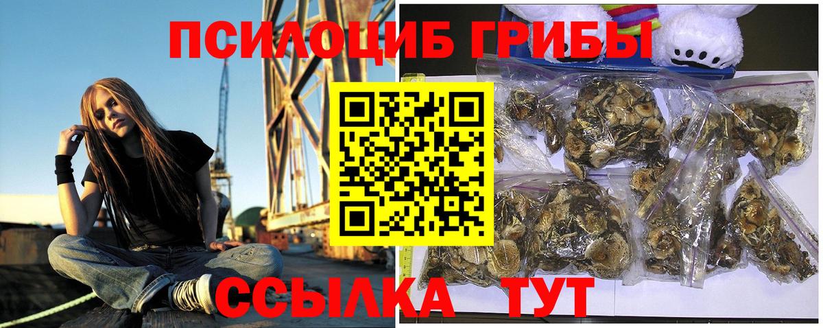 Галлюциногенные грибы Cubensis Батайск